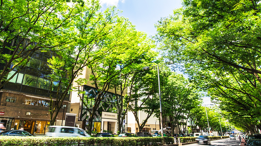 BlueC（ブルーシー）の会社概要