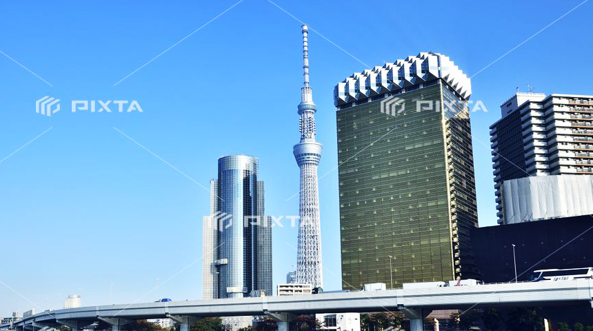 日本への送客支援